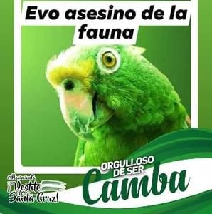 Meet your Posher, Rosario roca